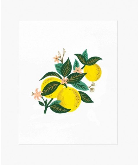 Affiche fleurs - Lemon Blossom (LMvannes)