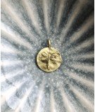 Collier Médaillon Libellule réalisé en plaqué or 14 carats et en argent 925