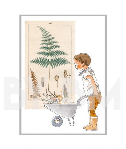 Affiche A4 "Botanique" garçon de la marque française By Bm