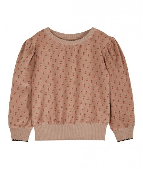 Sweatshirt pour enfant en tissu éponge terracotta avec des petites Pommes en motif. De la marque Emile et Ida.