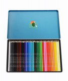 Boîte de 36 crayons de couleur Wild Wonders de la marque Rex London.