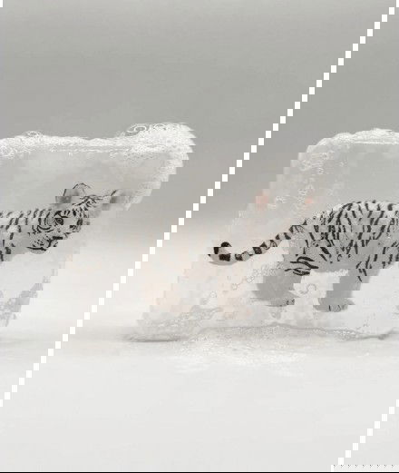 Savon contenant une figurine de bébé tigre blanc de la marque française Ludisoap