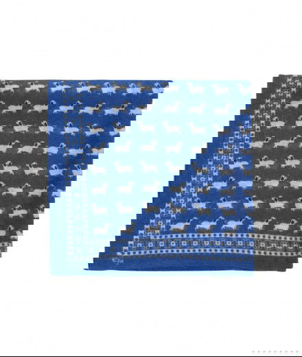 Petit Foulard en laine Teckels de la marque française Emile et Ida