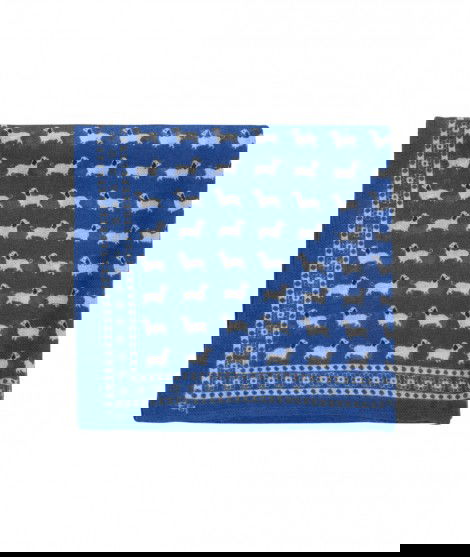 Petit Foulard en laine Teckels de la marque française Emile et Ida