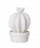 Cactus blanc en céramique