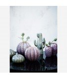 Vase cactus arrondi