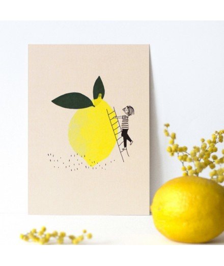 Carte postale citronnette